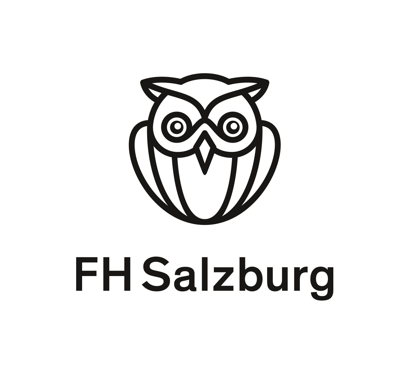 FH_Salzburg_Logo_DE groÃ_